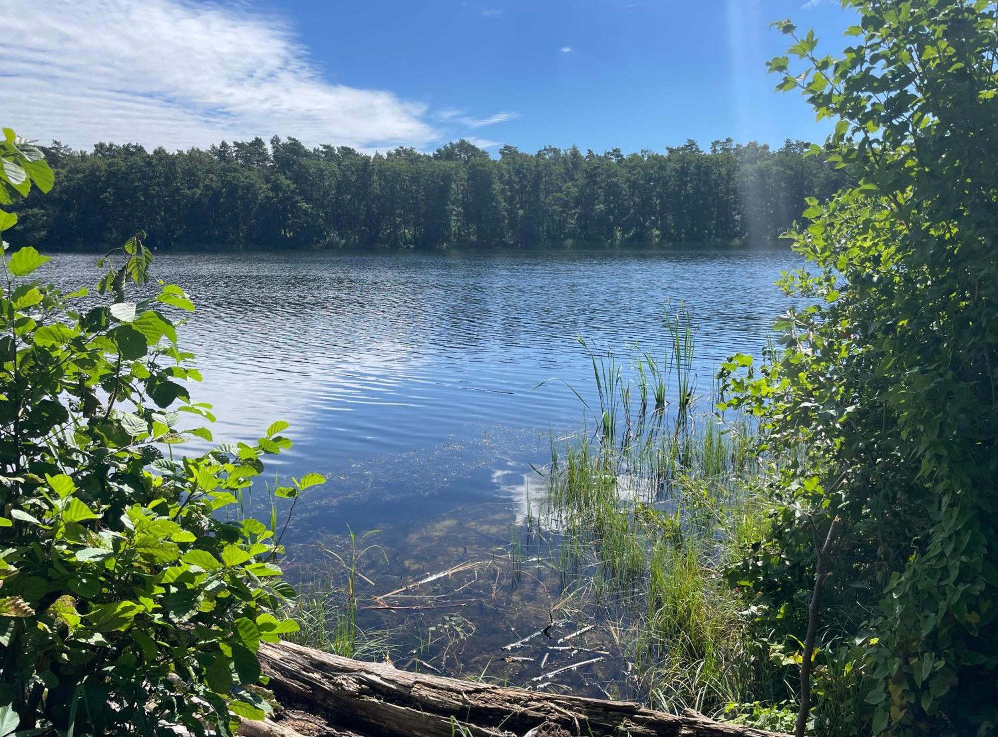 Ostseeperle - Pool, Sauna, 2 Bikes Dziwnów 外观 照片